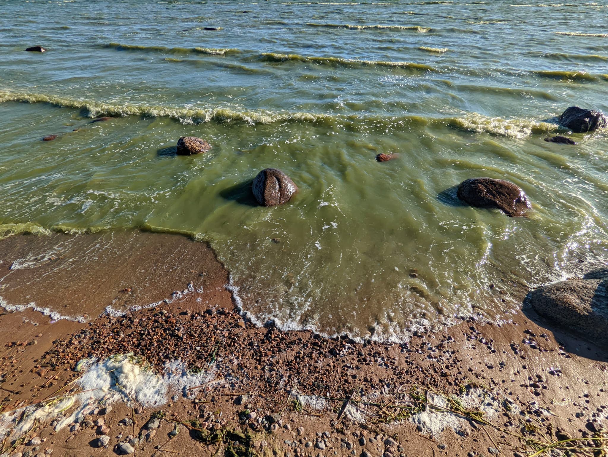 Зеленая вода - Финский залив